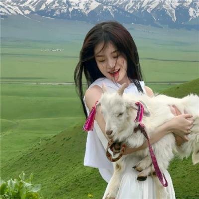 盘龙卧虎高山顶