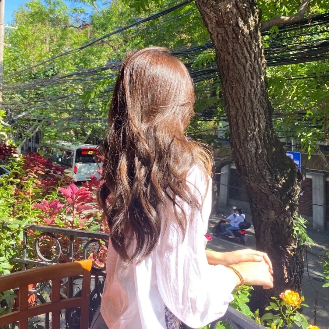 蒂科与鲨鱼